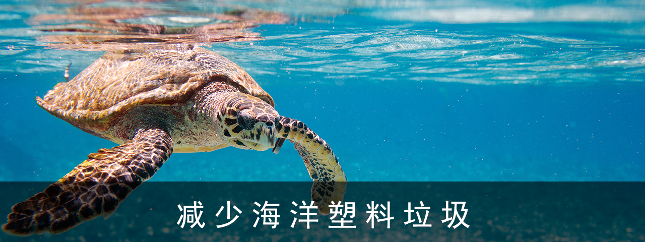减少海洋塑料垃圾