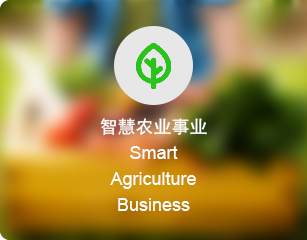 社会系统事业